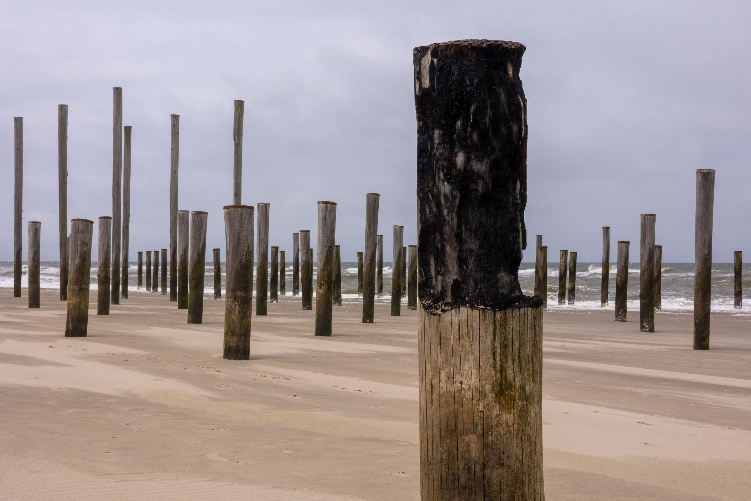 FOTO 4: ISO100/F22/s1/80_[Bp50 mm/LensCanon RF 50mm F1.8STM