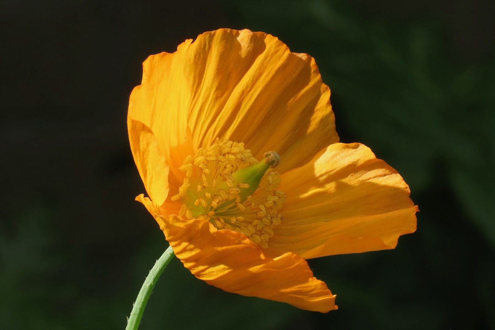FOTO 5: ISO200/F8.0/s1/250_[Bp59,99 mm/Lens21-1365