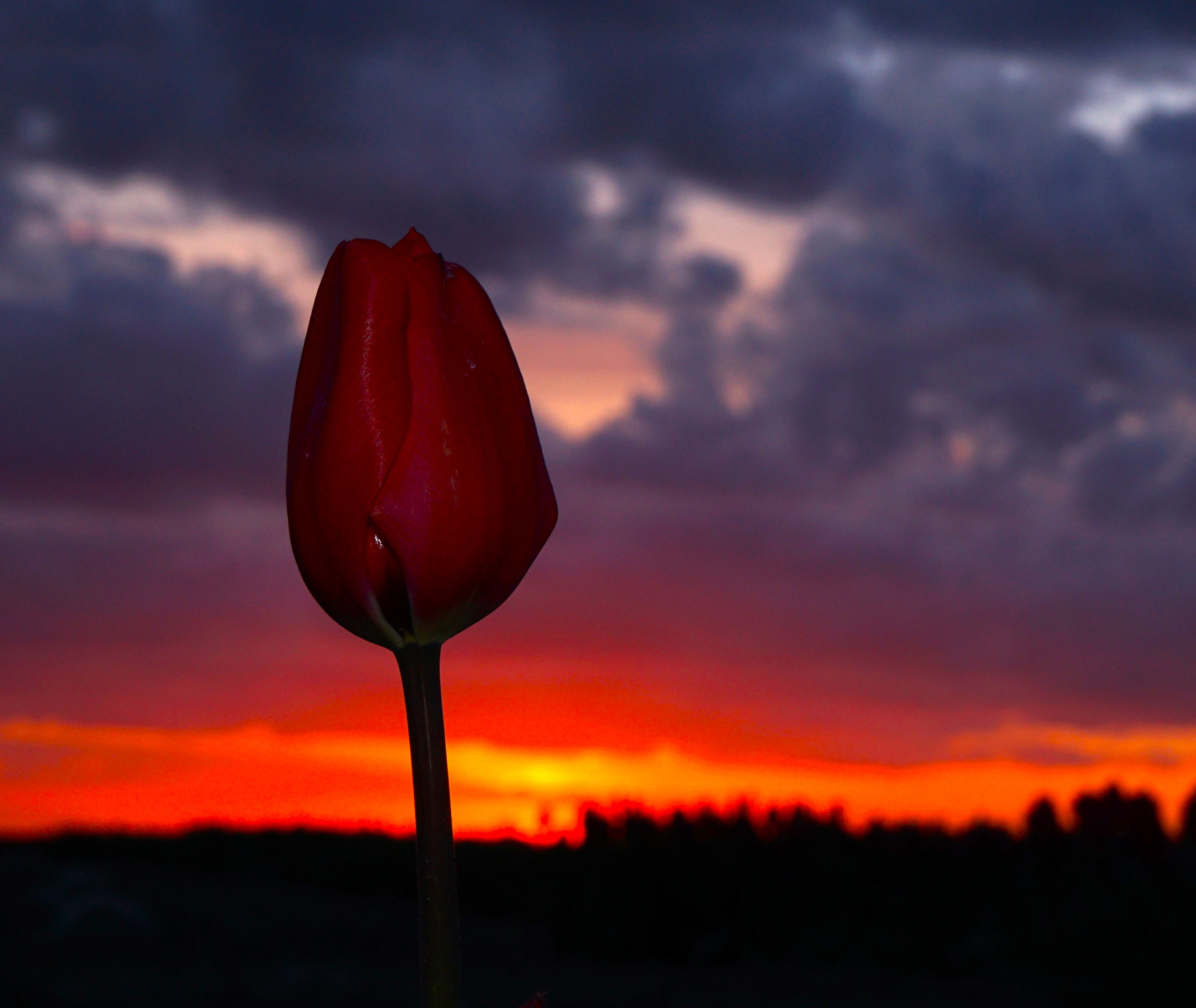 FOTO 6: ISO200/F5.6/s1/125_[Bp70 mm/Lens28-70