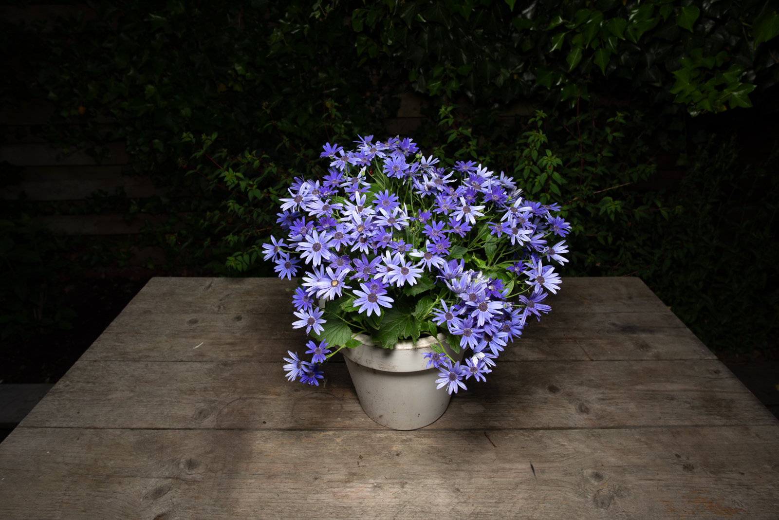 FOTO 10: ISO160/F9.0/s1/80_[Bp20 mm/Lens20 mm F1.8 Nikon
